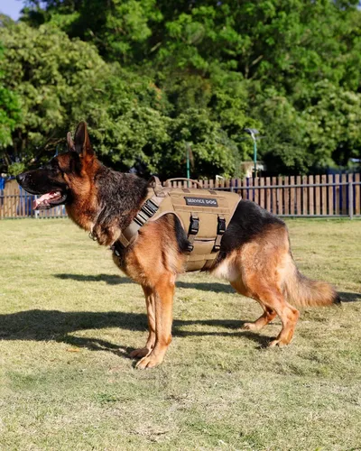 Miniatura 6 de Arnés táctico para perros - PETNANNY Chaleco para perro de servicio para perros grandes Cobertura corporal completa en arnés para perros de Rosa