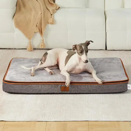 LIORCE Cama grande para perros de espuma viscoelástica, camas ortopédicas de 4 pulgadas de grosor para perros grandes, cama impermeable para perros
