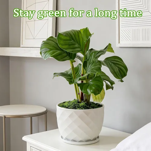 Miniatura 5 de Musgo verde falso – Musgo artificial para plantas de interior, imitación para manualidades, decoración de jardín de hadas de bricolaje, centros
