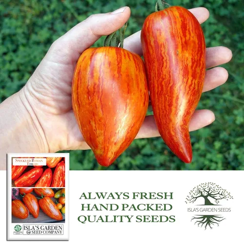 Miniatura 4 de Semillas de tomate romano moteadas (Lycopersicon lycopersicum) – Más de 100 semillas tradicionales sin OMG de Isla's Garden Seeds, pasta a rayas