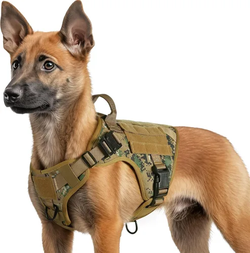 Miniatura 14 de rabbitgoo - Arnés táctico para perros pequeños, arnés resistente para mascotas con asa, chaleco de servicio sin tirones para razas pequeñas, chaleco