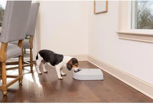 Miniatura 5 de Alimentador automático para perros PetSafe, 5 comidas, capacidad de 40 oz, plástico, para alimentos secos, para múltiples mascotas