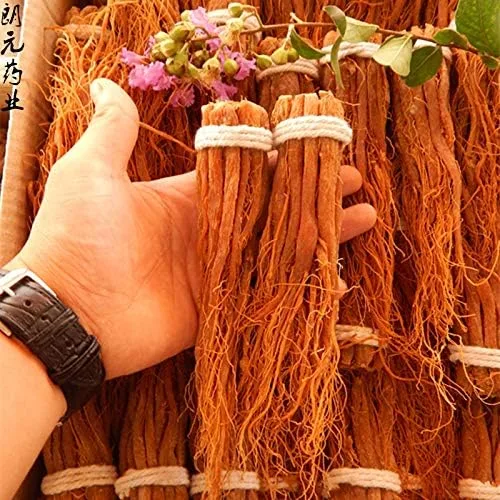 Miniatura 3 de Raíces rojas de ginseng coreano - Piezas de raíz entera - Raíces rojas de ginseng Panax 3.53 oz