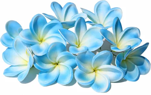 Miniatura 13 de 10 flores de plumeria artificiales de tacto real natural con tallos para fiestas temáticas hawaianas, un ramo de boda en la playa, decoración