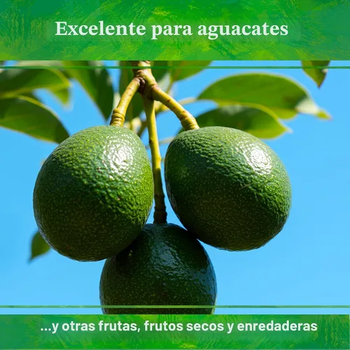 Miniatura 7 de Down To Earth All Natural Fertilizers Mezcla orgánica de cítricos - Alimento vegetal para limones, limas, naranjas y aguacates 6-3-3, 1 lb