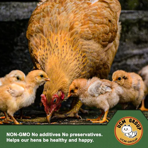 Miniatura 3 de UCM Group - Gusanos de harina secos de 5 libras para aves silvestres, pollos, alimento orgánico para pollos con alto contenido de proteínas, 100%