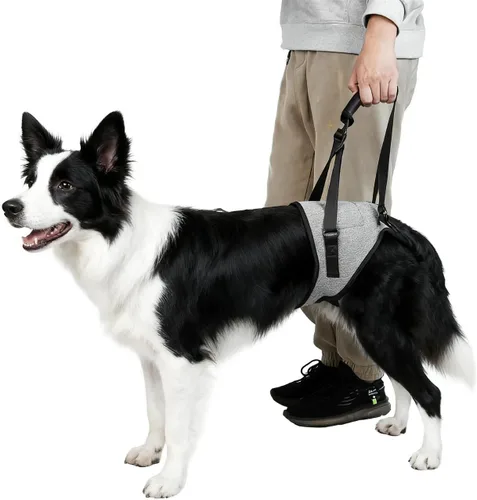 Miniatura 2 de Arnés de elevación para perros, arnés de soporte para patas traseras, arnés de soporte trasero ajustable, color gris, pequeño