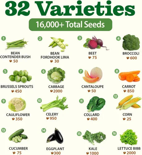 Miniatura 3 de 32 semillas de verduras y frutas tradicionales para plantar - Más de 16,000 semillas Bóveda de semillas de supervivencia sin OMG Alta