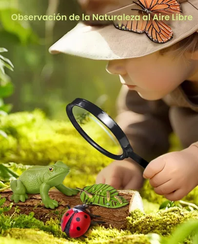 Miniatura 6 de JoyCat Juguetes Educativos de Aprendizaje del Ciclo de Vida, Kit de Oruga de Insecto a Mariposa, Mariquita, Abeja, Kit de Renacuajo a Rana, Juguetes