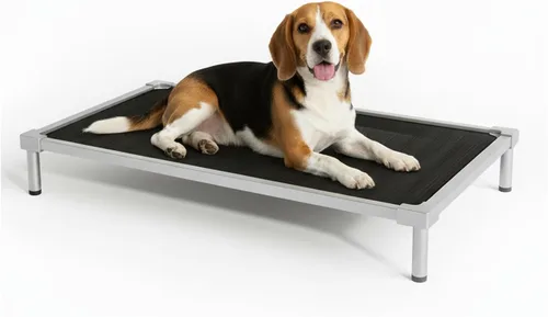 Miniatura 9 de Cama elevada para perros de tamaño mediano, aleación de aluminio a prueba de masticación, suministros resistentes para perros, cuna elevada