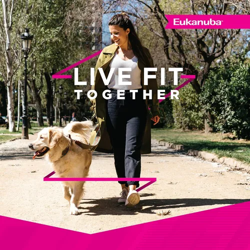 Miniatura 5 de Eukanuba Fit Body Weight Control - Alimento seco para perros adultos de raza grande, bolsa de 28 libras