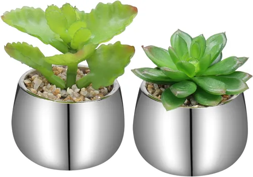 Briful Pequeñas suculentas artificiales en macetas, juego de 2 plantas suculentas realistas con macetas de cerámica plateadas, lindas mini plantas