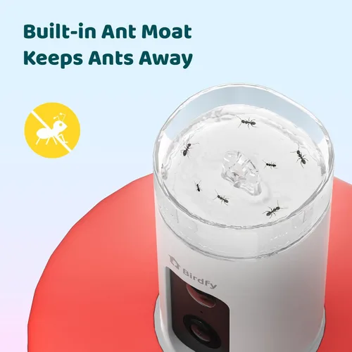 Miniatura 7 de Birdfy Alimentador de Colibríes con Cámara, Grabación Automática de Video de Aves, Notificación Instantánea, Vista en Vivo, Comederos Inteligentes