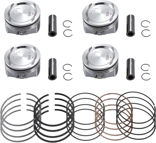 No.25198520 / Pistón interior/del motor y pasador y anillo de retención para Chevy Cruze 1.4L L4 2011-2016 / Kit de anillos de pistón/Metal / 1