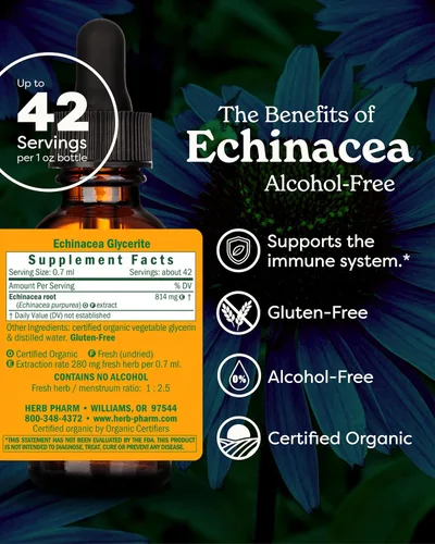 Miniatura 2 de Herb Pharm equinácea orgánica sin alcohol para defensa inmune - 1 onza., GLECH01, 1 Ounce, 1, 1