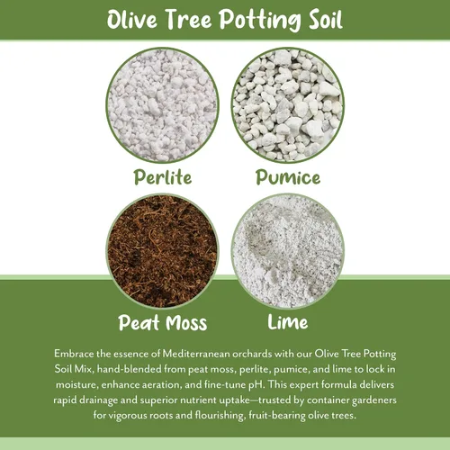Miniatura 5 de Soil Sunrise Mezcla de tierra para macetas de olivo (12 cuartos de galón) para plantar, trasplantar y cultivar arbustos/plantas de olivo