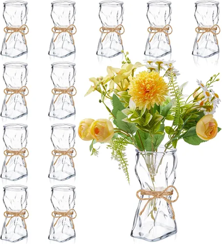 LemonRoad Paquete de 12 pequeñas bolsas de vidrio con forma irregular, florero de flores de vidrio para flores, lindo jardín para boda, sala de