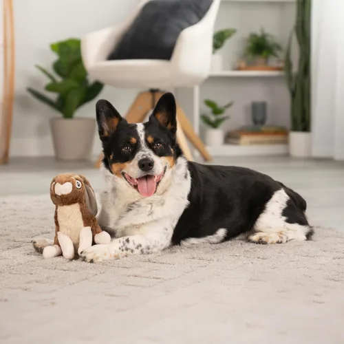 Miniatura 7 de goDog Conejo Salvaje - Juguete de felpa con chirriador para perro, con tecnología Chew Guard, tela duradera y silbato para juego activo