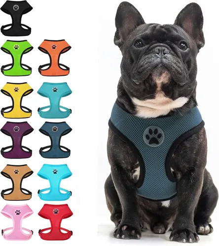 Miniatura 27 de BINGPET Arnés para perro sin tirones, arnés de chaleco tipo step-in de malla para todo clima para perros pequeños, arnés de malla transpirable