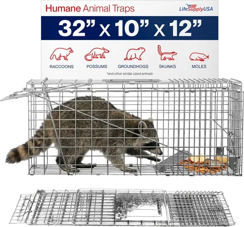 Trampa para animales de 32" plegable de LifeSupplyUSA, jaula resistente para atrapar y liberar animales. Ideal para mapaches, zarigüeyas, gatos