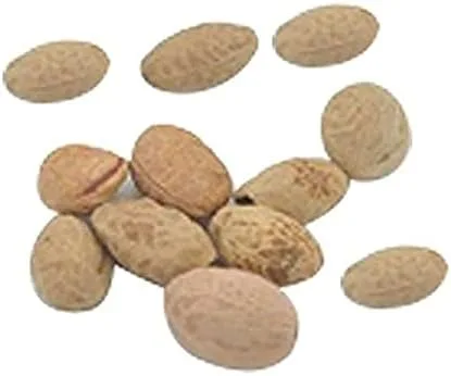 Miniatura 2 de 10 semillas de árbol bonsái Sakura