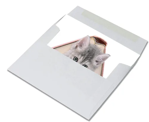 Miniatura 4 de Tarjetas divertidas de gatito, paquete de 12 tarjetas divertidas de notas de gato con sobres, 4 divertidos diseños de fotos, interior en blanco
