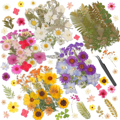 Miniatura 9 de Flores secas prensadas para resina, flores prensadas reales, hojas secas, kit de hierbas naturales a granel para álbumes de recortes, manualidades