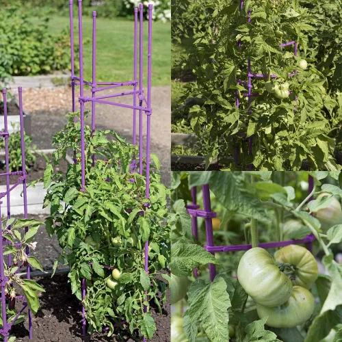 Miniatura 8 de Jaula de tomate de 5 pies de alto sin empalme, paquete de 6 estacas de tomate grandes, estacas para plantas de jardín, soportes de escalada, 40