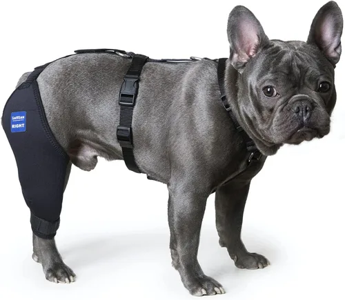 Miniatura 9 de Rodillera para perro con arnés y cinturón de conexión, ligera y elástica, soporte para pierna trasera desgarrada del ligamento cruzado anterior