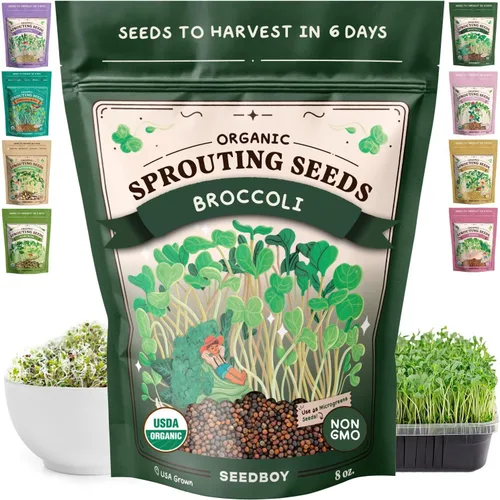 Miniatura 15 de Seedboy Semillas de alfalfa orgánicas sin GMO para germinación - Semillas para brotes de microverdes - Bolsa de 8 oz, produce 8 cuartos / 24