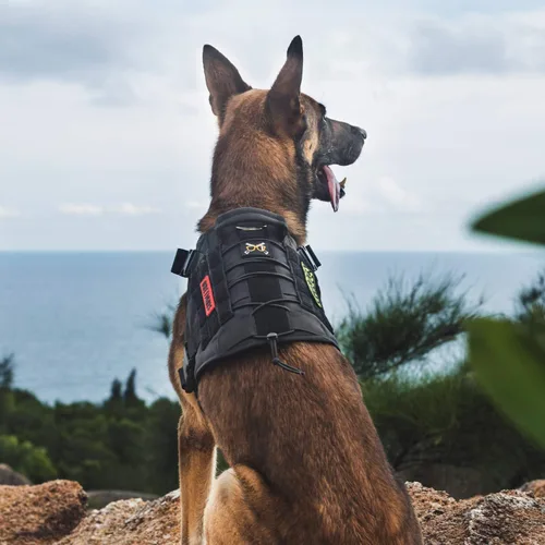 Miniatura 4 de OneTigris Chaleco Arnés Táctico para Perros, Chaleco para Perro de Servicio Sin Tirones con Paneles de Velcro, Arnés Chaleco Ajustable para Perros