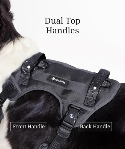 Miniatura 5 de Fei & Eve - Arnés para perro, sin tirones, nailon duradero, doble asa, panel táctico, pequeño (negro) 3-Point No-Pull Control, Dual Handle