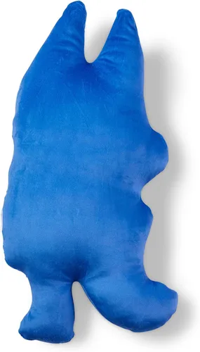 Miniatura 3 de Northwest Bluey Cloud Pal - Almohada de personaje, 23 pulgadas, Be Silly