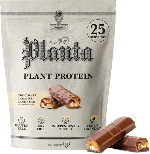 Ambrosia Planta - Polvo de proteína a base de plantas 20g | Polvo de proteína vegana sin lácteos con aminoácidos BCAA | Apto para dieta cetogénica,