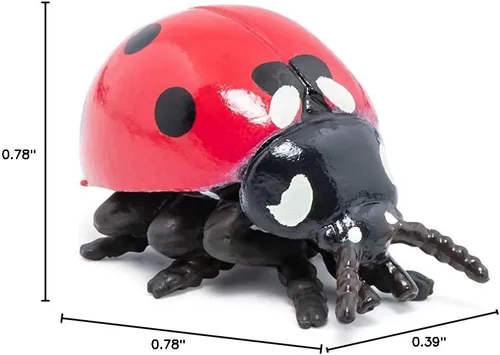 Miniatura 10 de Papo - Figura realista de mariquita - A partir de 3 años - Colección de animales de jardín - Mundo educativo de insectos - Juguete de idea de regalo