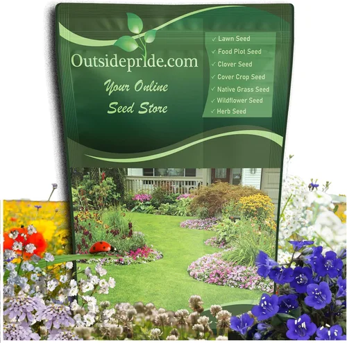 Outsidepride Mezcla de semillas de flores silvestres insectarias - Combinación de 1/4 lb de semillas de flores silvestres perennes de raíces