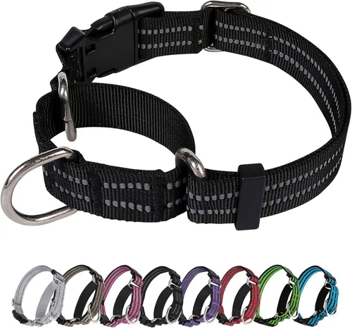 Miniatura 16 de Martingale - Collar para perro, collar reflectante ajustable de nailon con hebilla de liberación rápida (rosa intenso, talla L)