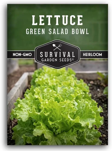Semillas de lechuga verde para plantar, semillas de lechuga de hojas verdes resistentes al calor para cultivo de jardín, variedad tradicional de