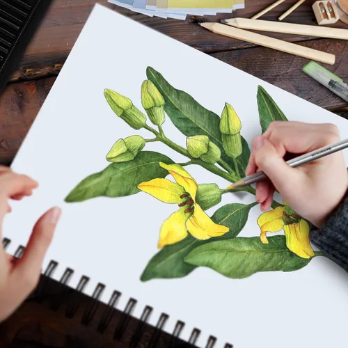 Miniatura 8 de Bloc de bocetos de papel blanco de alta calidad, 9 x 12 pulgadas, 100 hojas (68 libras/3.53 oz/m²), cuaderno de bocetos con espiral para marcadores