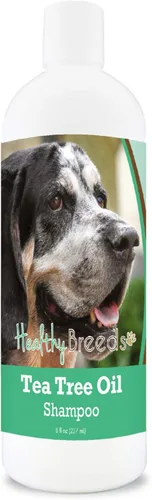Miniatura 24 de Healthy Breeds Doberman Pinscher Champú de aceite de árbol de té, formulado para piel seca e irritada, reduce la caspa, aroma a gaulteria, 8 onzas