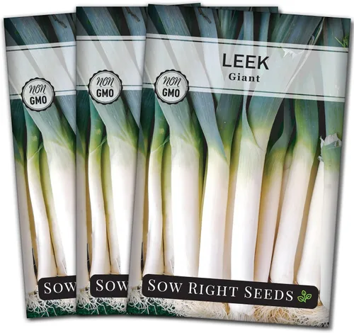 Miniatura 8 de Sow Right Seeds - Semillas de puerro gigantes para plantar - Paquete de reliquia sin OMG con instrucciones para plantar y cultivar un huerto