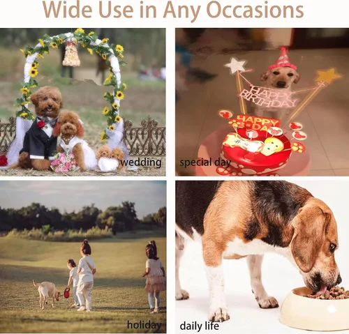 Miniatura 6 de Vestidos para mascotas para perros pequeños, gatos y niñas, lindo vestido de princesa con lazo, camisa para cachorros, falda para todo