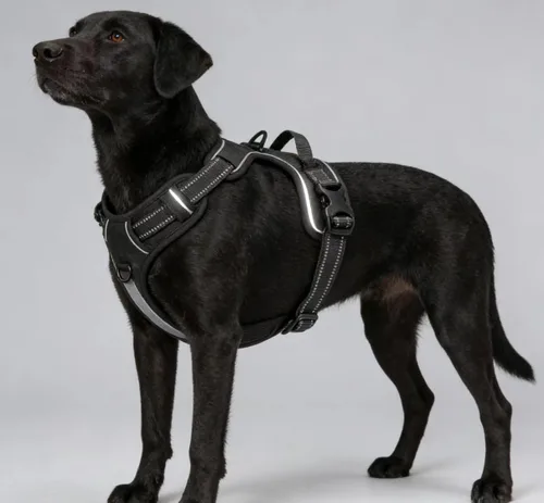 Miniatura 4 de Arnés negro reflectante sin tirones para perro con 2 clips para correa, chaleco acolchado suave para perros pequeños, fácil de poner y quitar