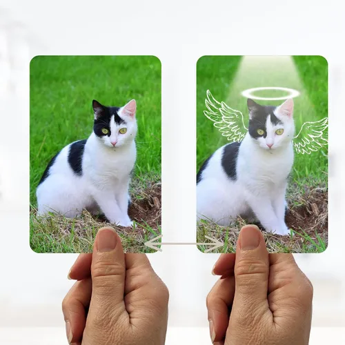 Miniatura 2 de 3dreactions Foto lenticular personalizada Flip Picture FLOTO, volteando imágenes hechas a medida de tus fotos pasan de una imagen a otra mientras