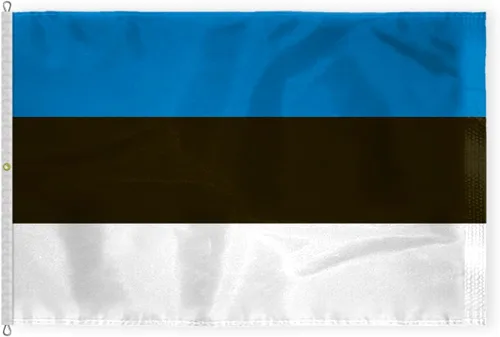 Miniatura 5 de AGAS - Bandera de Estonia de 5 x 8 pies, nailon 200D, 6 agujas cosidas, dobladillo con mosca, nunca se oxida, ojales de latón, bandera nacional