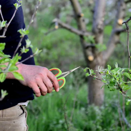 Miniatura 5 de Tijeras de recortar jardín curvado Vivosun Tijeras de poda de uva de acero inoxidable Bonsái Rama de árboles frutales Tijeras de recorte Tijeras
