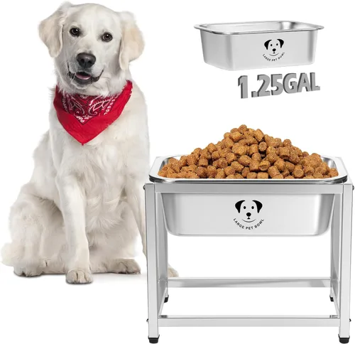 Miniatura 13 de Cuencos de Acero Inoxidable para Perros Grandes, Cuencos de Alimento de Perro de Metal de Alta Capacidad, Cuenco de Comida y Agua para Perros Acero