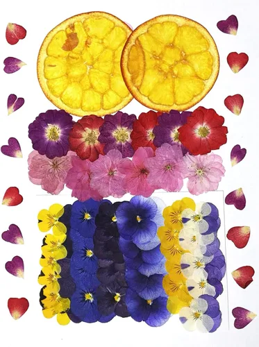 Miniatura 7 de 100 piezas de flores y hojas secas prensadas reales, herbario de plantas naturales para moldes de resina DIY, fabricación de joyas y manualidades