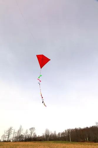 Miniatura 3 de Kikkerland Cometa roja de arándano