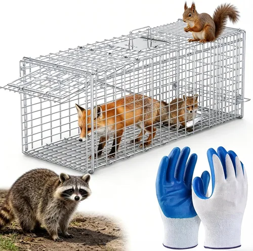 Miniatura 14 de Trampa de jaula de animales vivos de 31 pulgadas, trampa plegable resistente para gatos callejeros, mapaches, ardillas, zorrillos, marmotas, topos